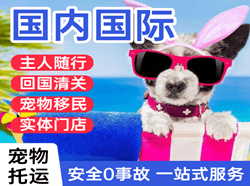 阿拉善左旗巴彦浩特机场货运国际宠物托运 【国